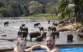 Hotel Elephant Bay - World'S Best Place To See The Elephants
